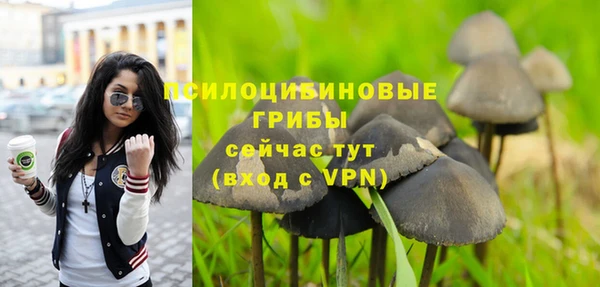 спиды Абаза