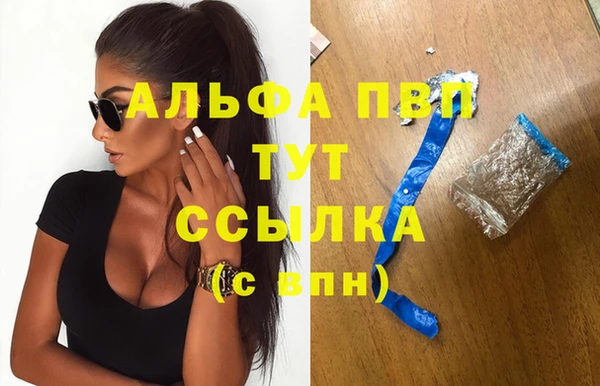 спиды Абаза