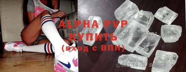 спиды Абаза