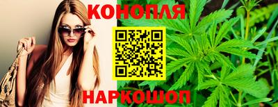 стаф Абакан