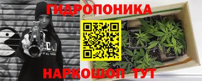 индика Азнакаево