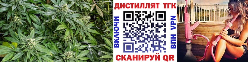 darknet клад Алейск ТГК концентрат где продают
