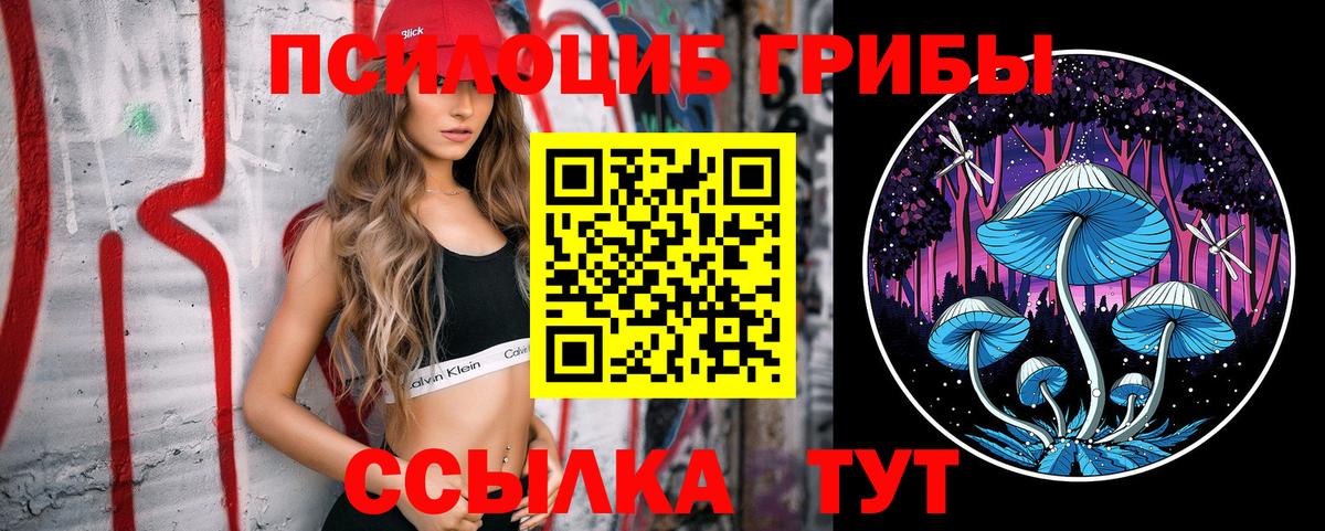 Галлюциногенные грибы Magic Shrooms  Вход с VPN  Алейск  Галлюциногенные грибы GOLDEN TEACHER 